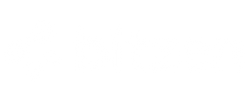 logo-bitzen-blanco